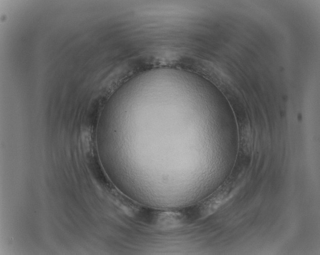 X0000074940222200609081359