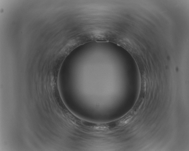 X0000074940223200609081359