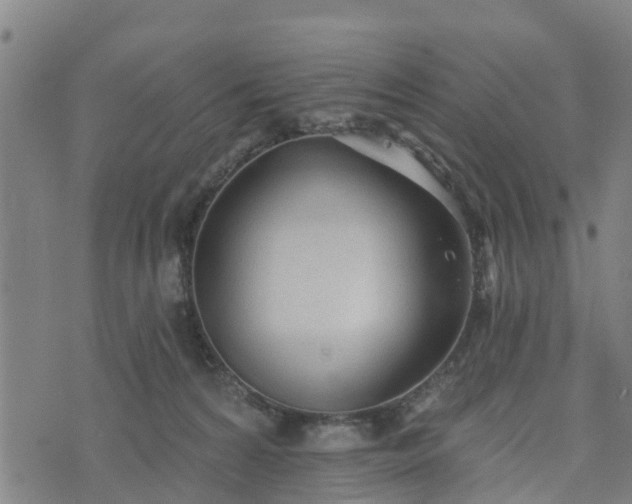 X0000074940224200609081359