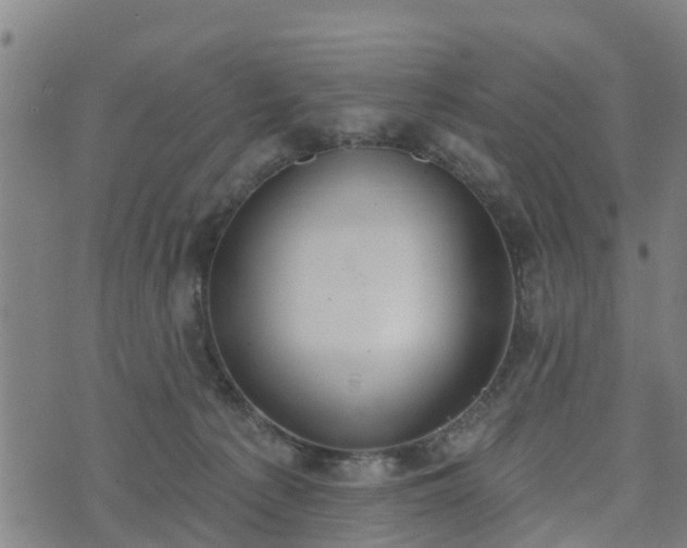 X0000074940225200609081359