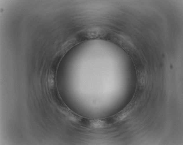 X0000074940226200609081359