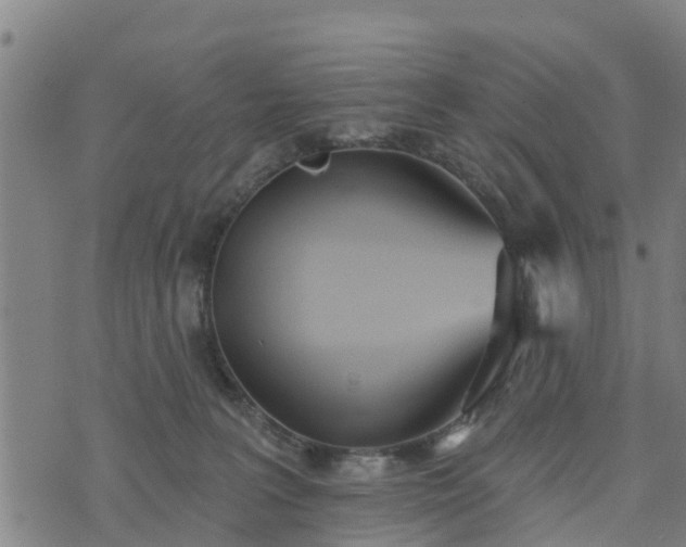 X0000074940227200609081359