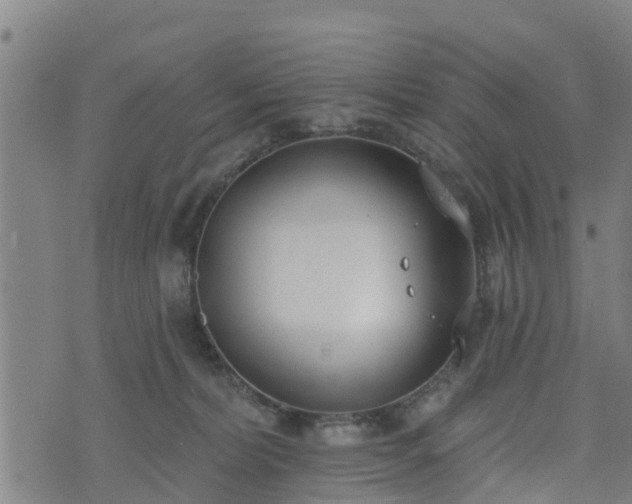 X0000074940228200609081359