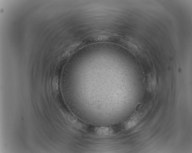 X0000074940230200609081359