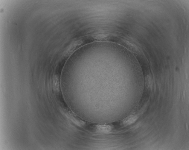 X0000074940234200609081359