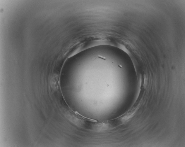 X0000074940237200609081359