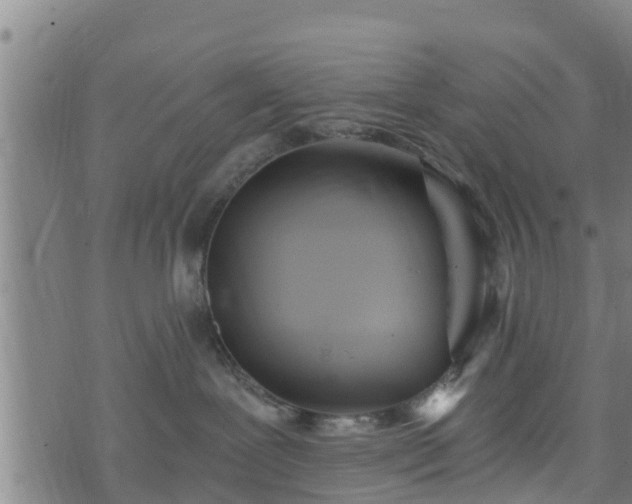 X0000074940239200609081359