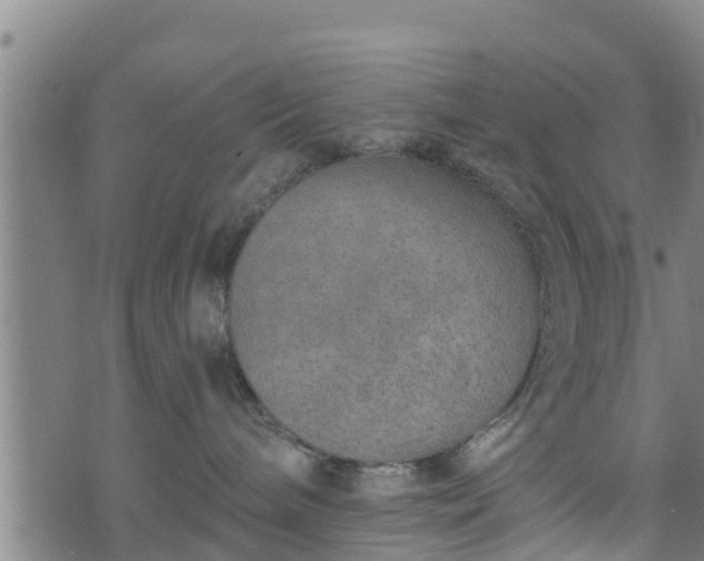 X0000074940240200609081359