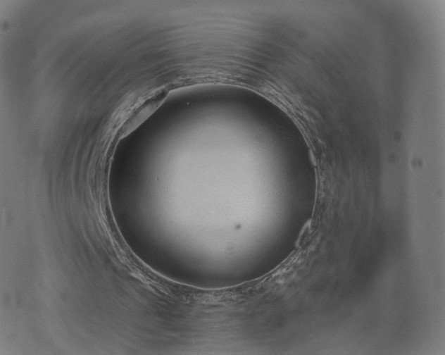 X0000074940241200609081358