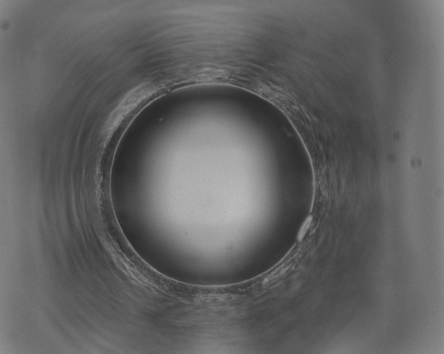 X0000074940242200609081358