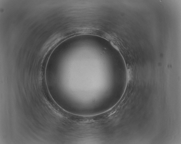 X0000074940243200609081358