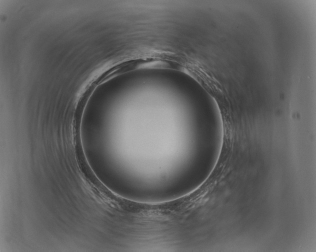 X0000074940244200609081358