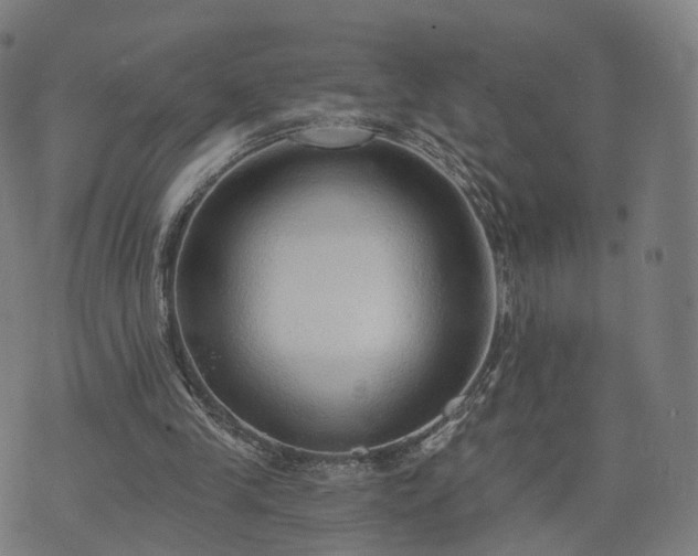 X0000074940245200609081358