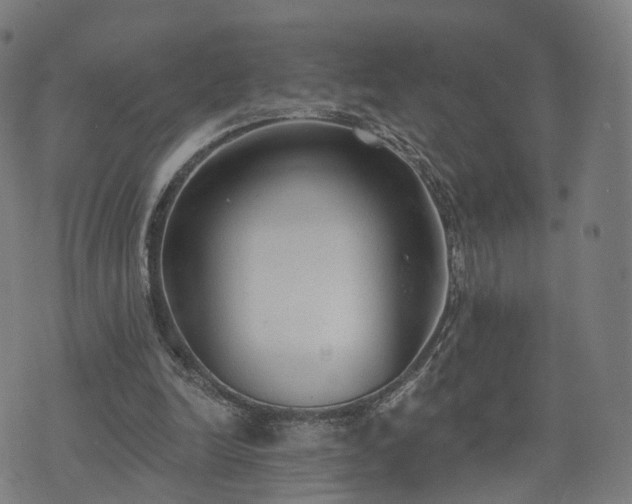 X0000074940246200609081358