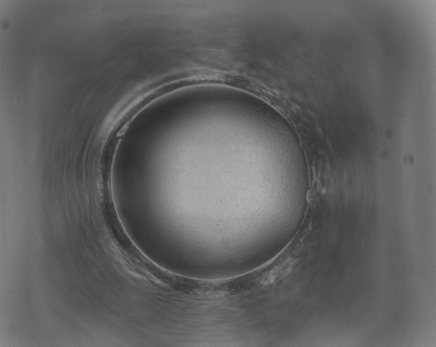 X0000074940247200609081358