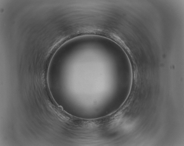 X0000074940249200609081358