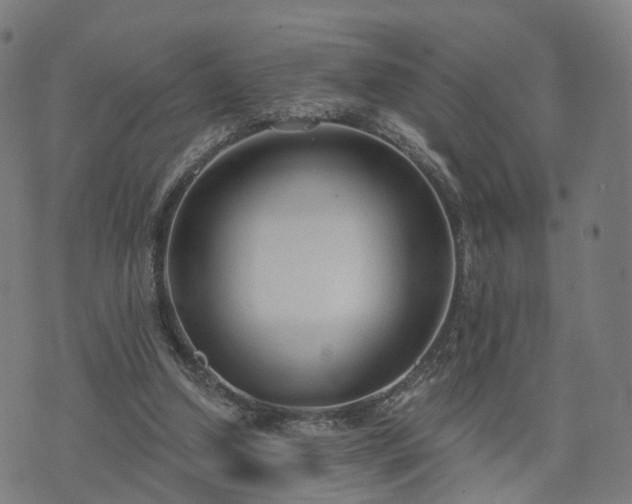 X0000074940250200609081358