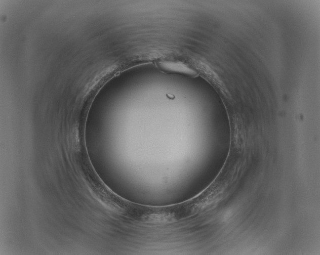 X0000074940251200609081358