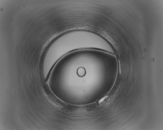 X0000074940252200609081358