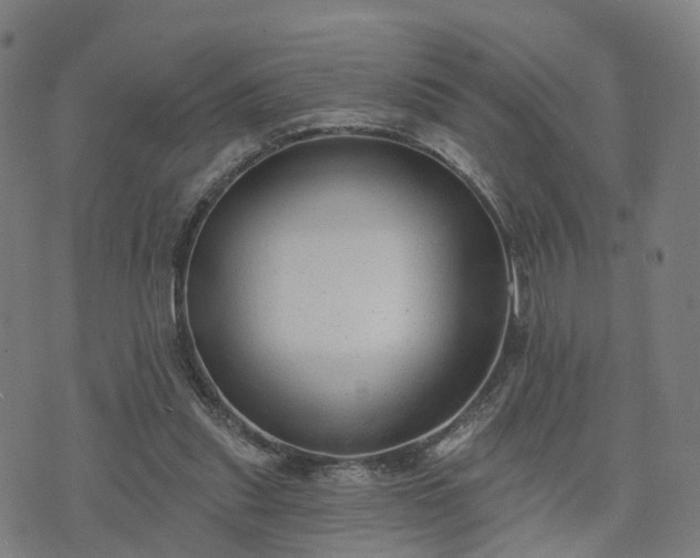 X0000074940253200609081358