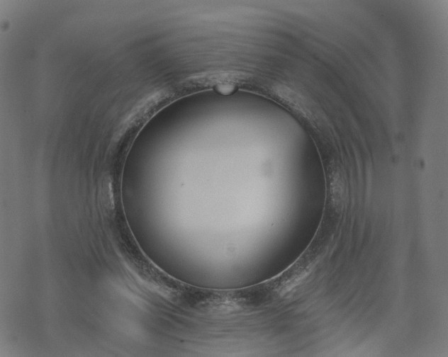 X0000074940254200609081358