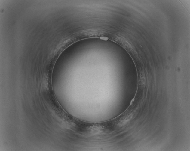 X0000074940255200609081358