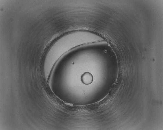 X0000074940256200609081358