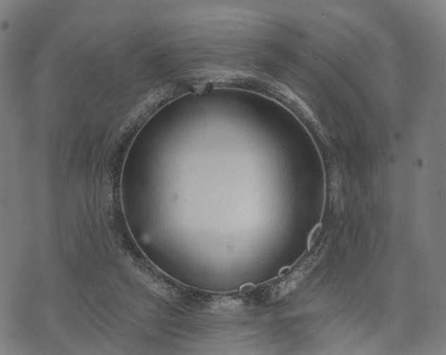 X0000074940257200609081358