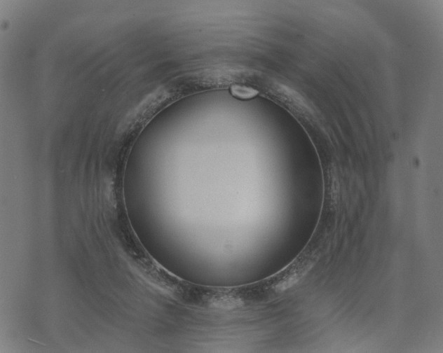 X0000074940258200609081358