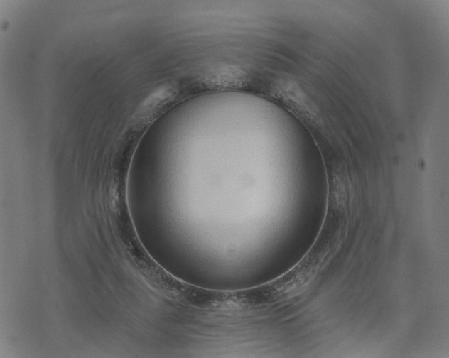 X0000074940259200609081358