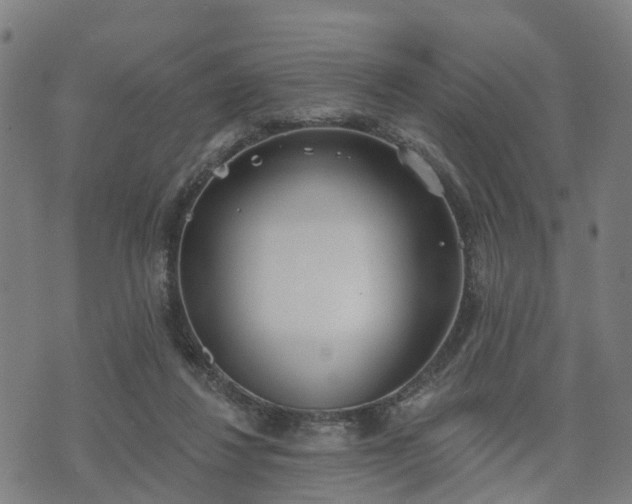 X0000074940260200609081358