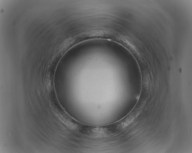 X0000074940261200609081358