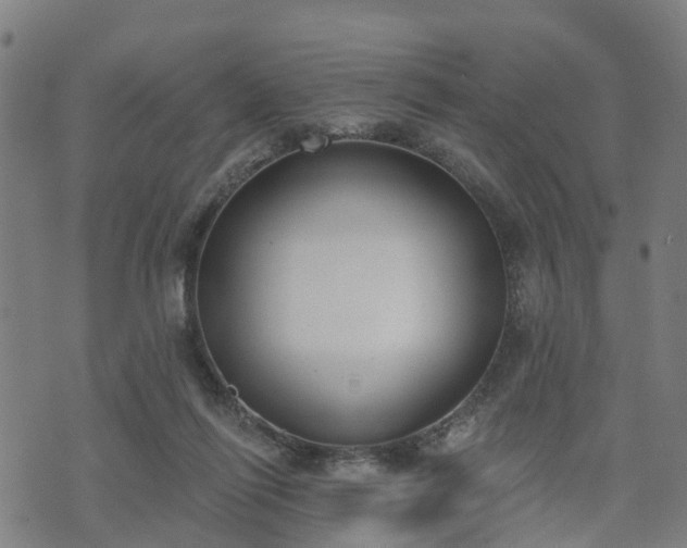 X0000074940262200609081358