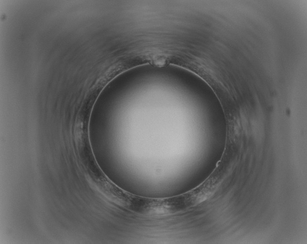 X0000074940263200609081358