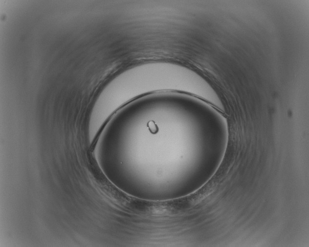 X0000074940264200609081358