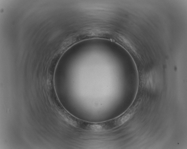 X0000074940265200609081358