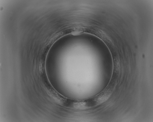 X0000074940266200609081358