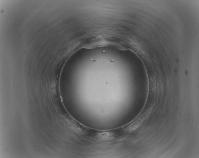 X0000074940269200609081358