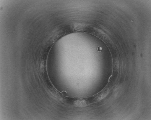 X0000074940271200609081358