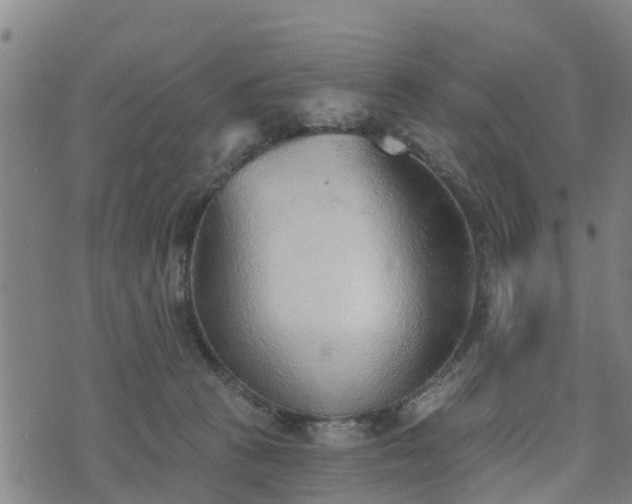 X0000074940273200609081358