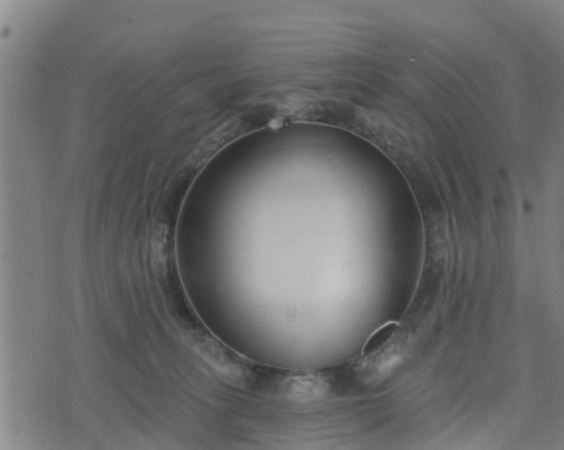 X0000074940275200609081358