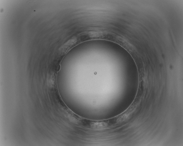 X0000074940277200609081358