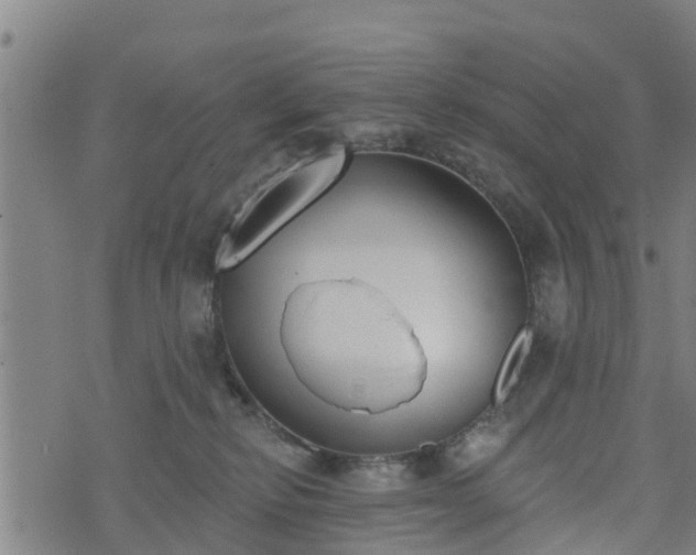 X0000074940278200609081358