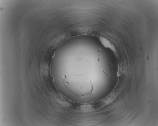 X0000074940279200609081358