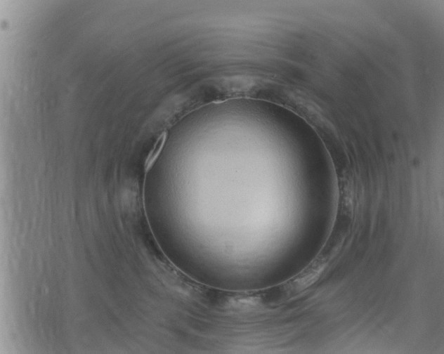 X0000074940283200609081358