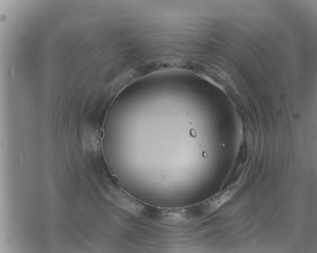 X0000074940285200609081358