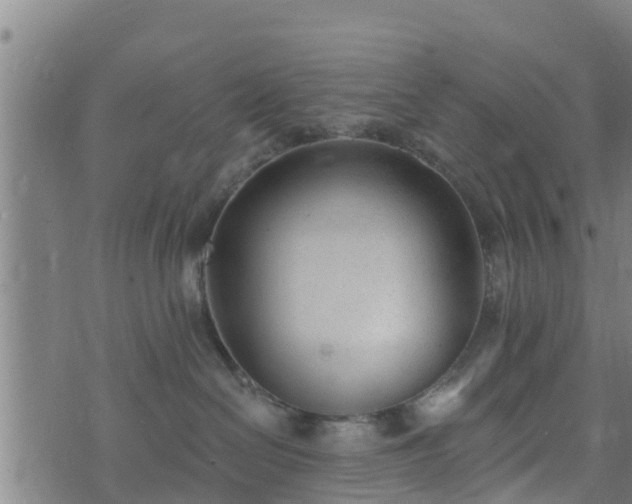 X0000074940286200609081358