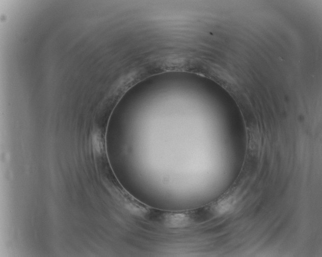 X0000074940287200609081358