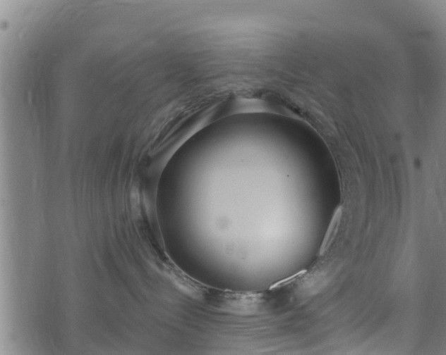 X0000074940288200609081358