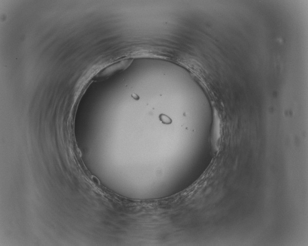 X0000074940289200609081358